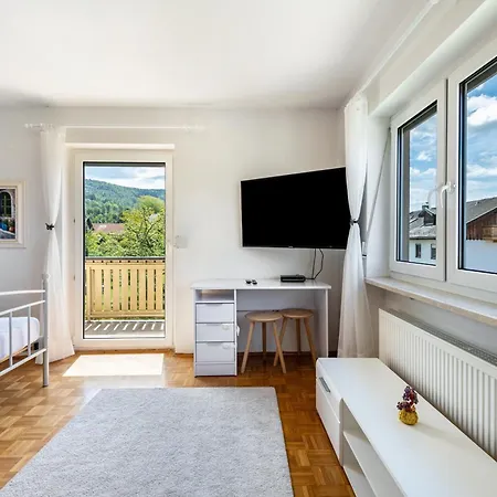 Arber Bis 10 P, Bergblick * Frauenau