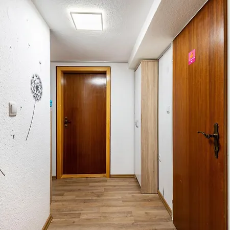 Arber Bis 10 P, Bergblick Frauenau